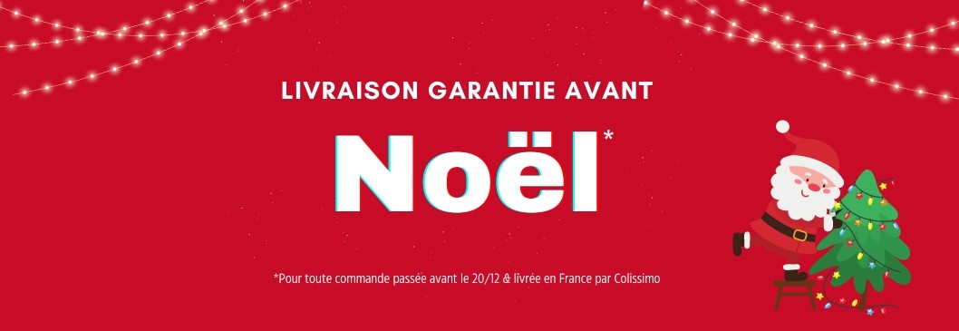 Livraison garantie avant Noël*